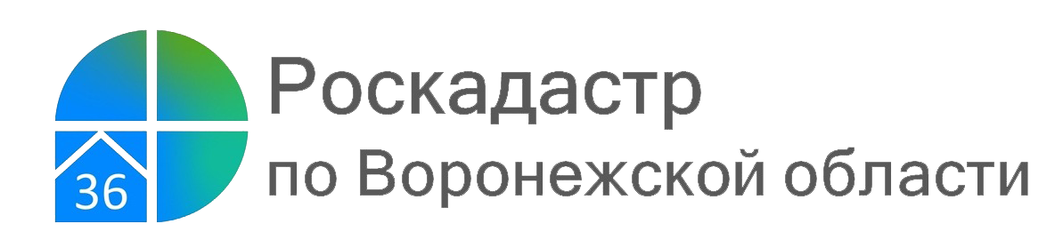 С 1 апреля землеустроительную документацию можно получить быстрее.